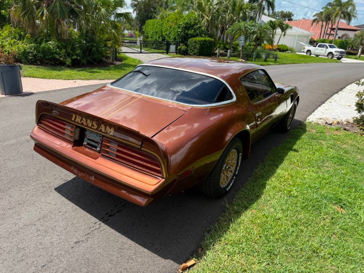 Pontiac-firebird-trans-am-1978-brown-10