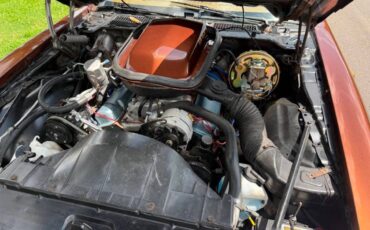 Pontiac-firebird-trans-am-1978-brown-11