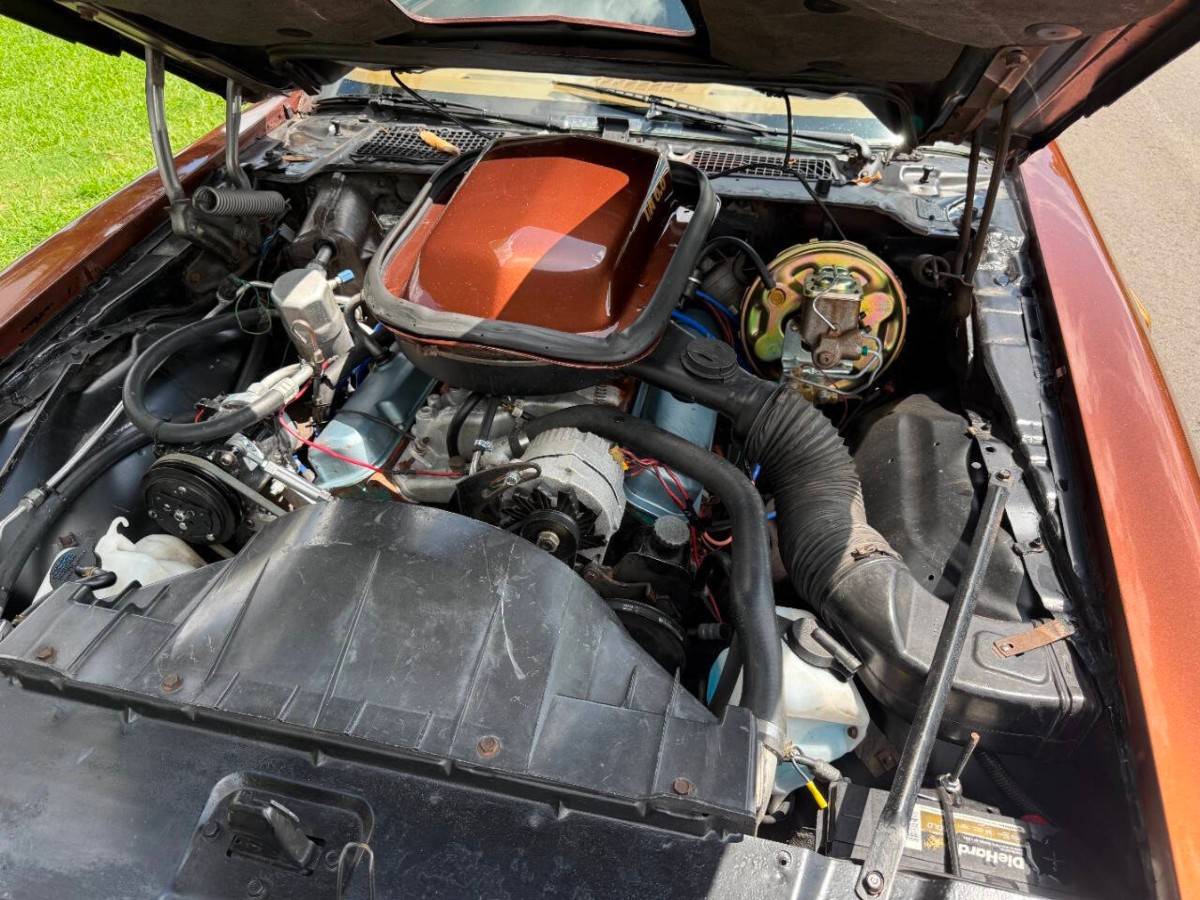 Pontiac-firebird-trans-am-1978-brown-11