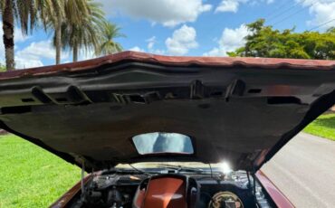 Pontiac-firebird-trans-am-1978-brown-12