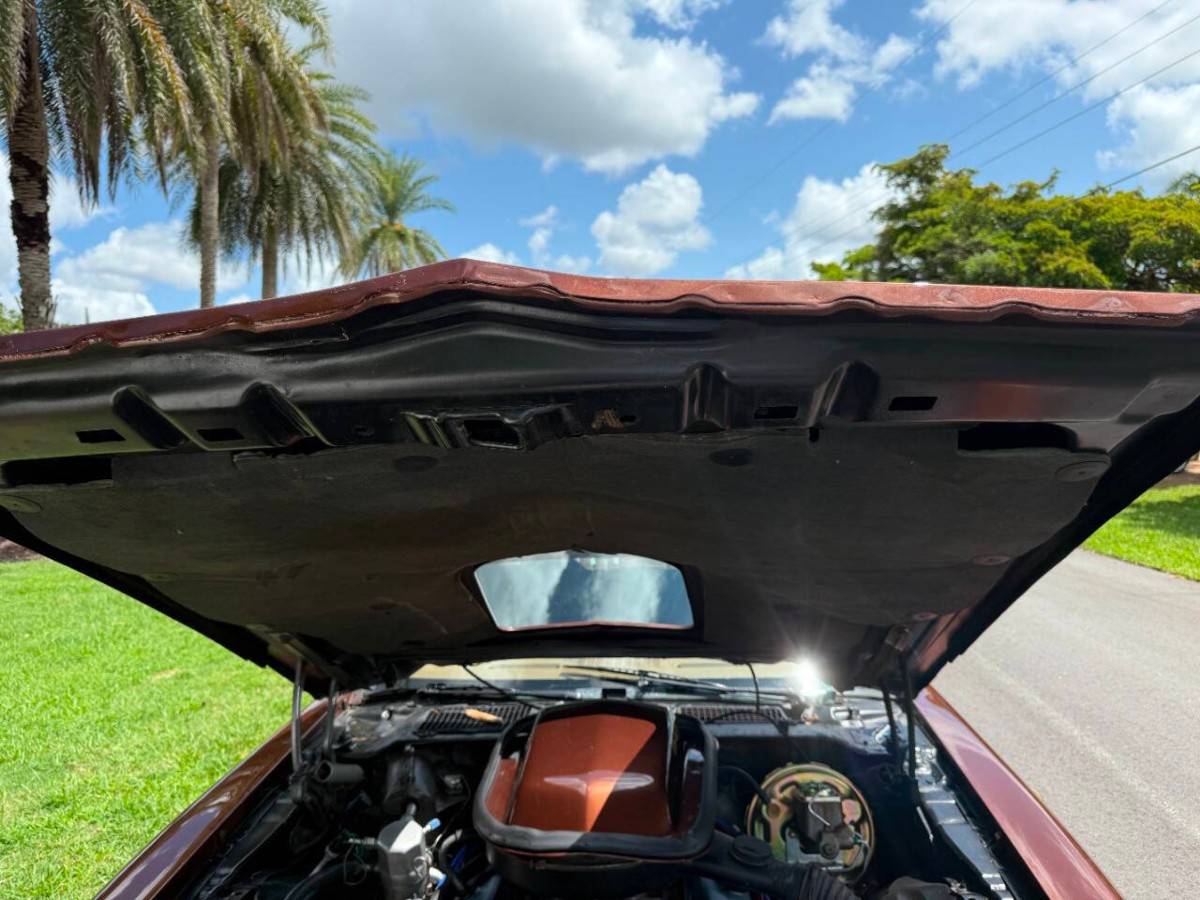 Pontiac-firebird-trans-am-1978-brown-12