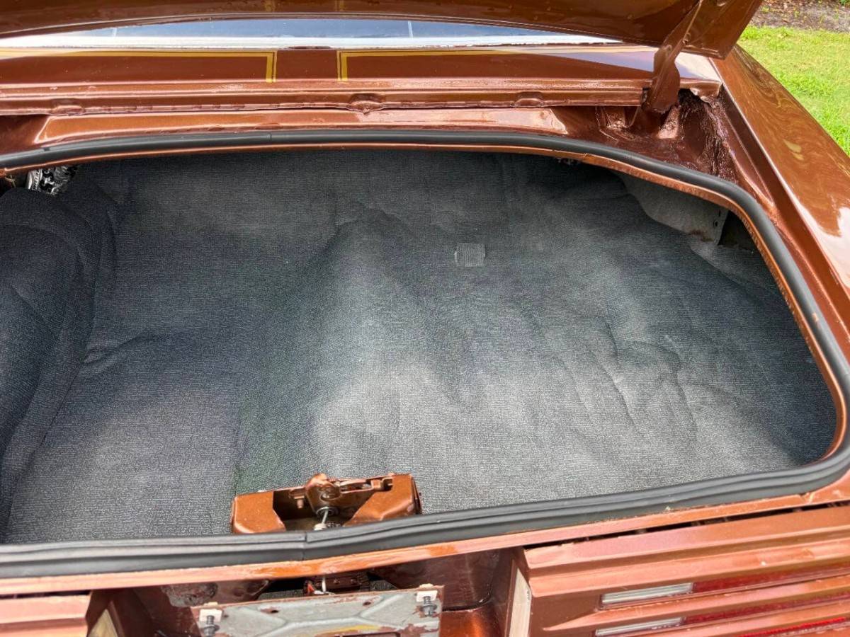 Pontiac-firebird-trans-am-1978-brown-13
