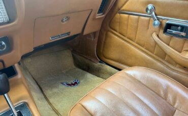 Pontiac-firebird-trans-am-1978-brown-14