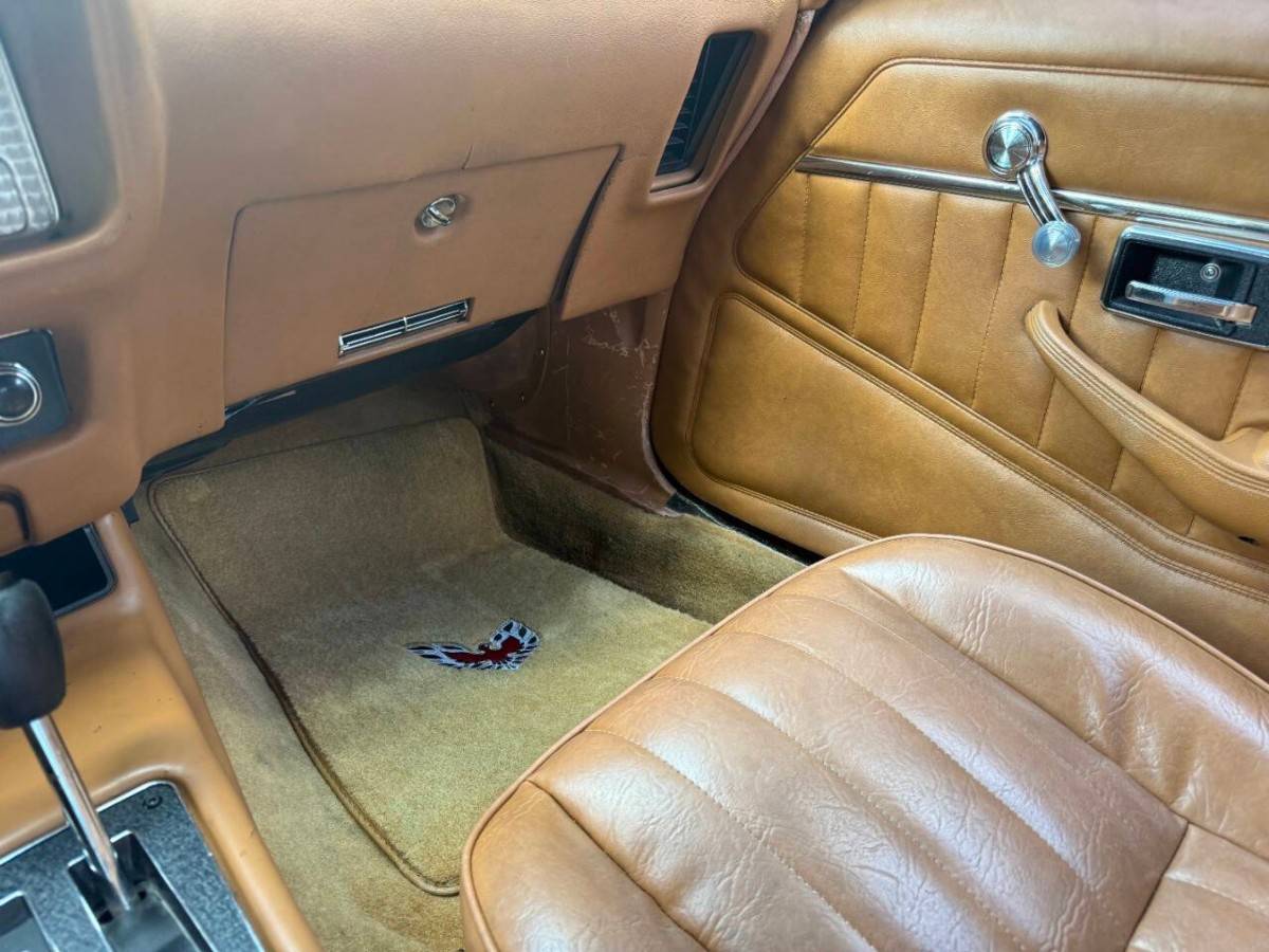 Pontiac-firebird-trans-am-1978-brown-14