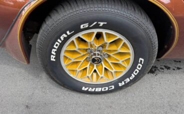 Pontiac-firebird-trans-am-1978-brown-15