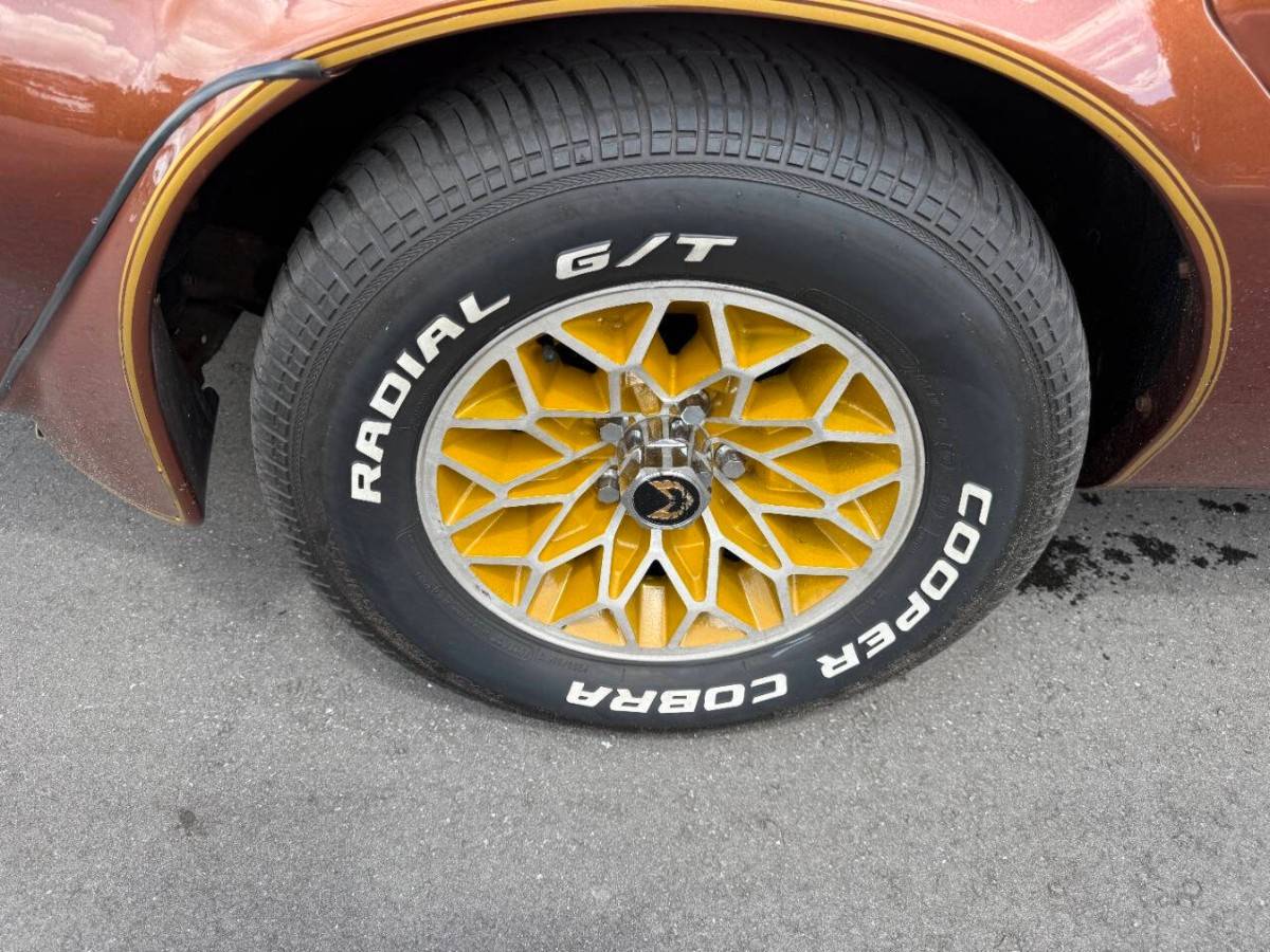 Pontiac-firebird-trans-am-1978-brown-15