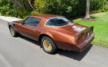 Pontiac-firebird-trans-am-1978-brown-16