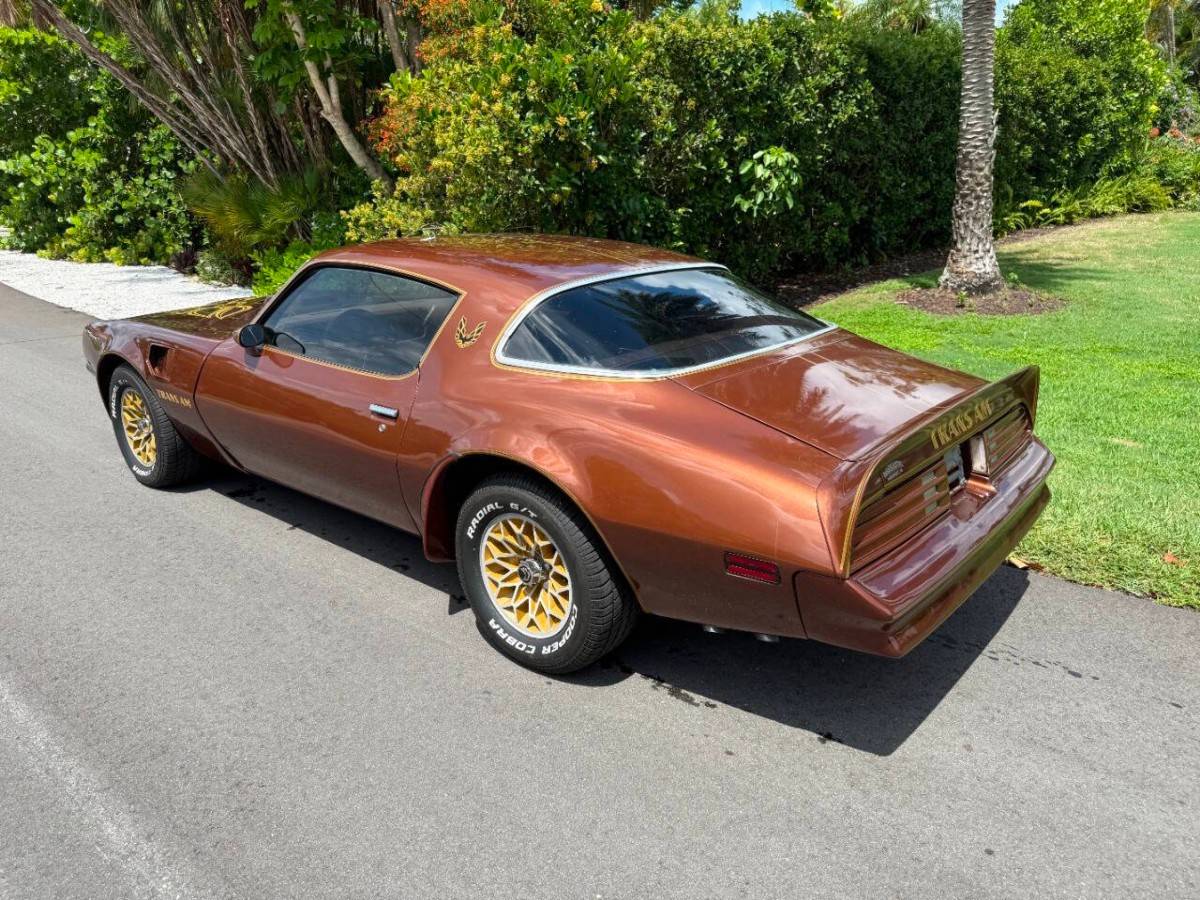 Pontiac-firebird-trans-am-1978-brown-16