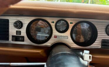 Pontiac-firebird-trans-am-1978-brown-18