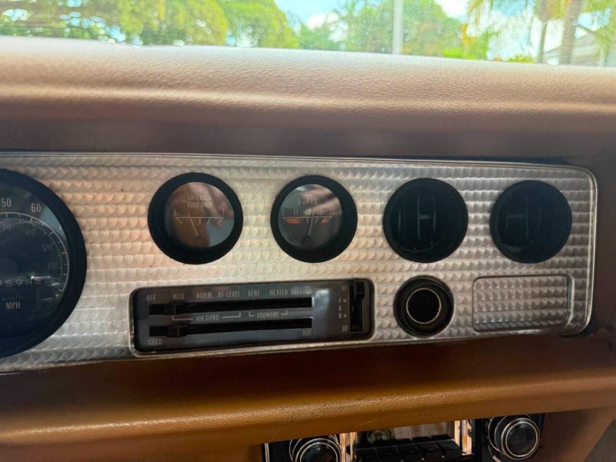 Pontiac-firebird-trans-am-1978-brown-19