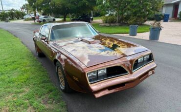 Pontiac-firebird-trans-am-1978-brown-2