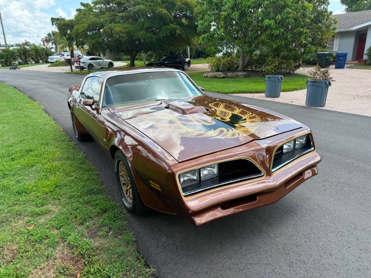 Pontiac-firebird-trans-am-1978-brown-2