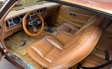 Pontiac-firebird-trans-am-1978-brown-3