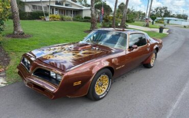 Pontiac-firebird-trans-am-1978-brown