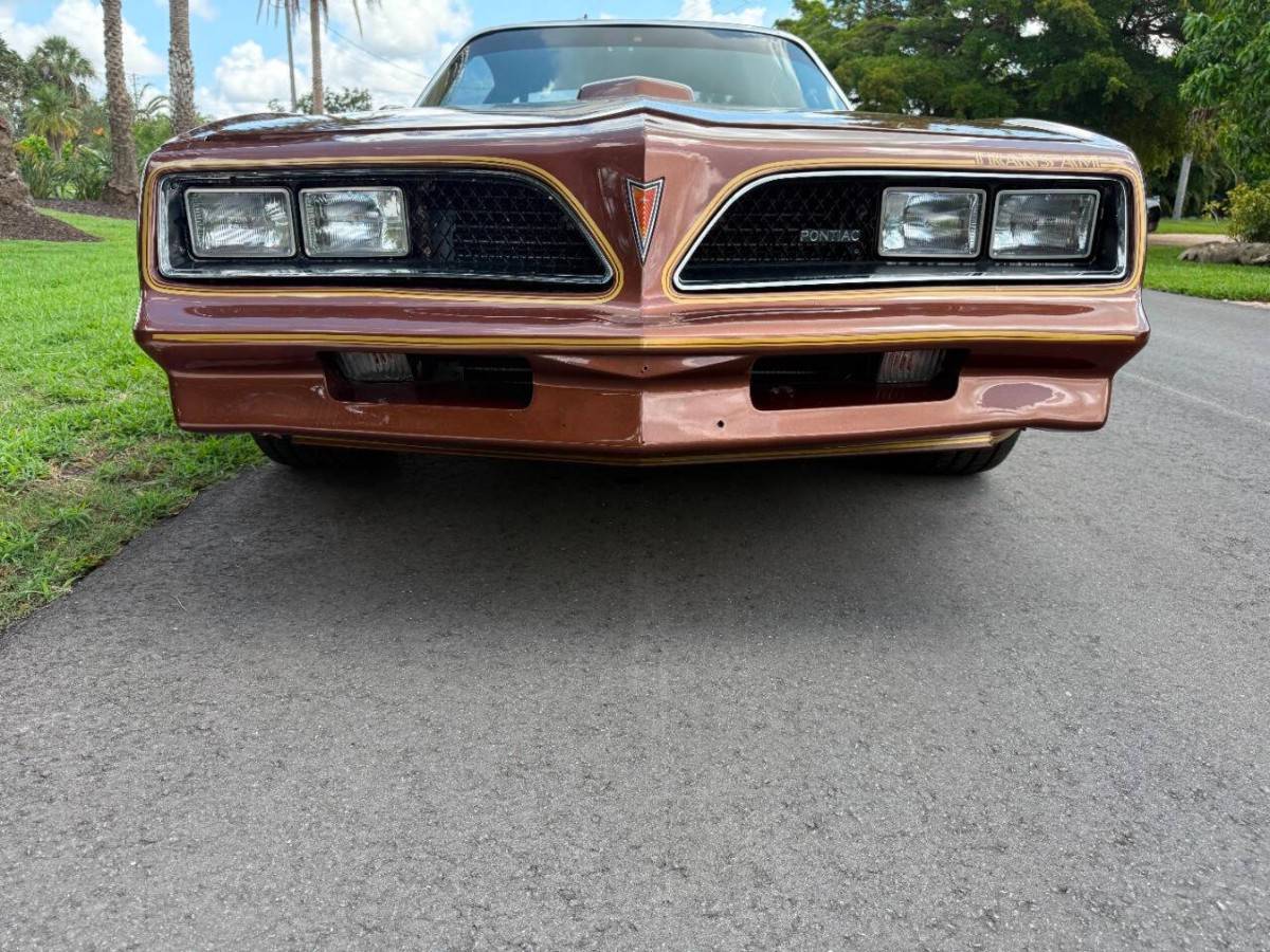 Pontiac-firebird-trans-am-1978-brown-4