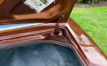 Pontiac-firebird-trans-am-1978-brown-5