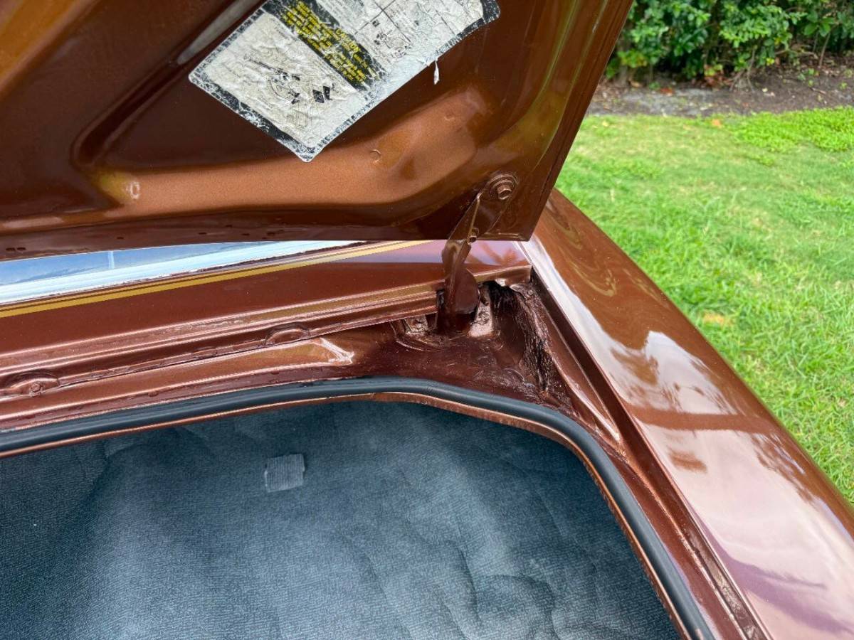 Pontiac-firebird-trans-am-1978-brown-5