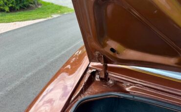 Pontiac-firebird-trans-am-1978-brown-6