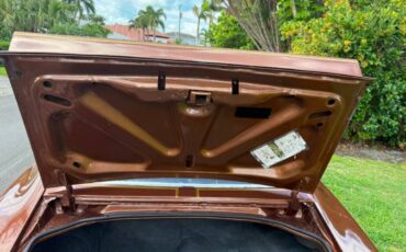 Pontiac-firebird-trans-am-1978-brown-7