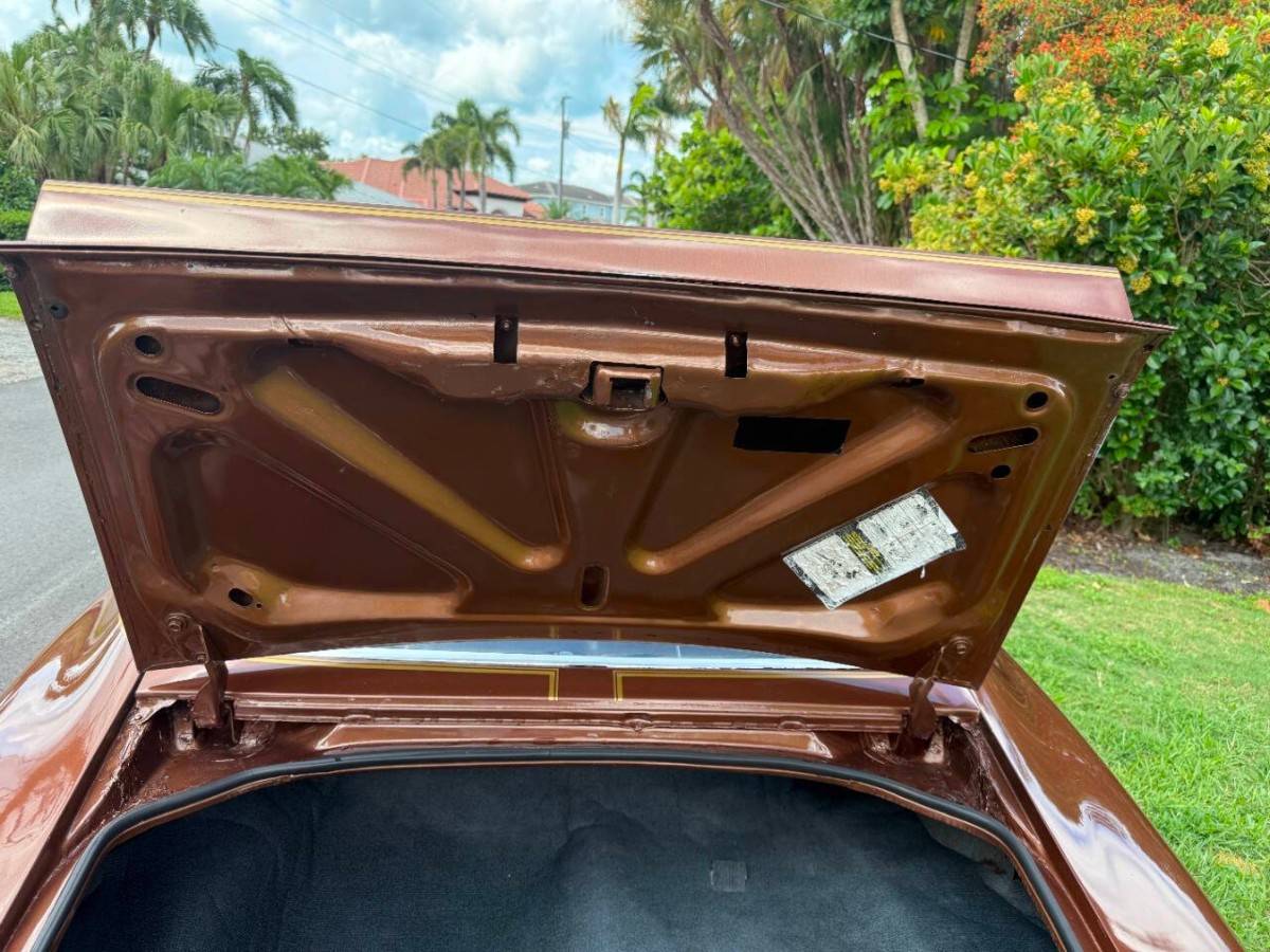 Pontiac-firebird-trans-am-1978-brown-7