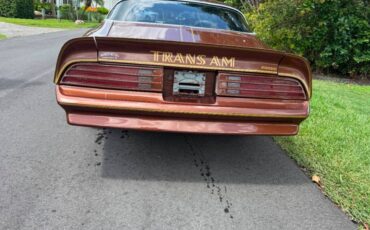 Pontiac-firebird-trans-am-1978-brown-8