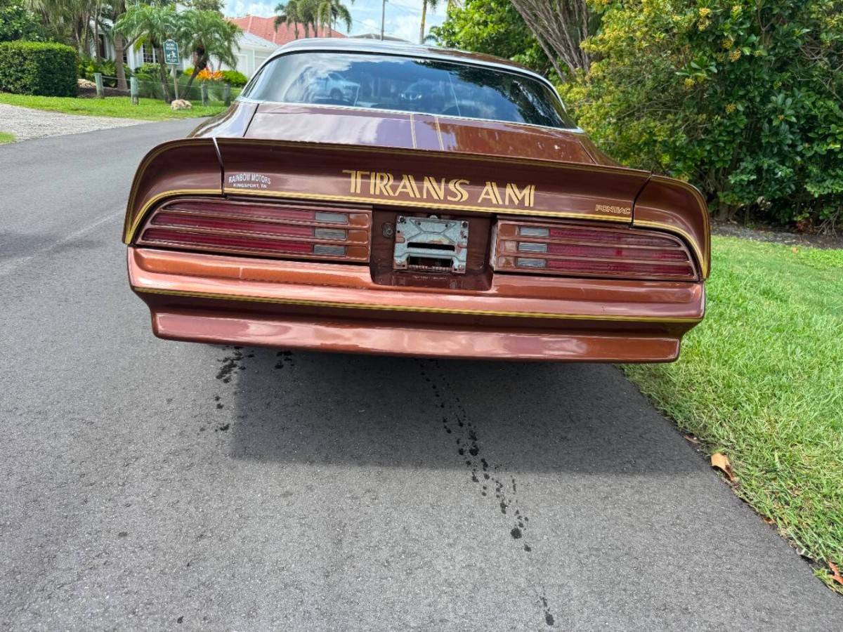 Pontiac-firebird-trans-am-1978-brown-8