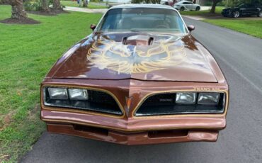 Pontiac-firebird-trans-am-1978-brown-9