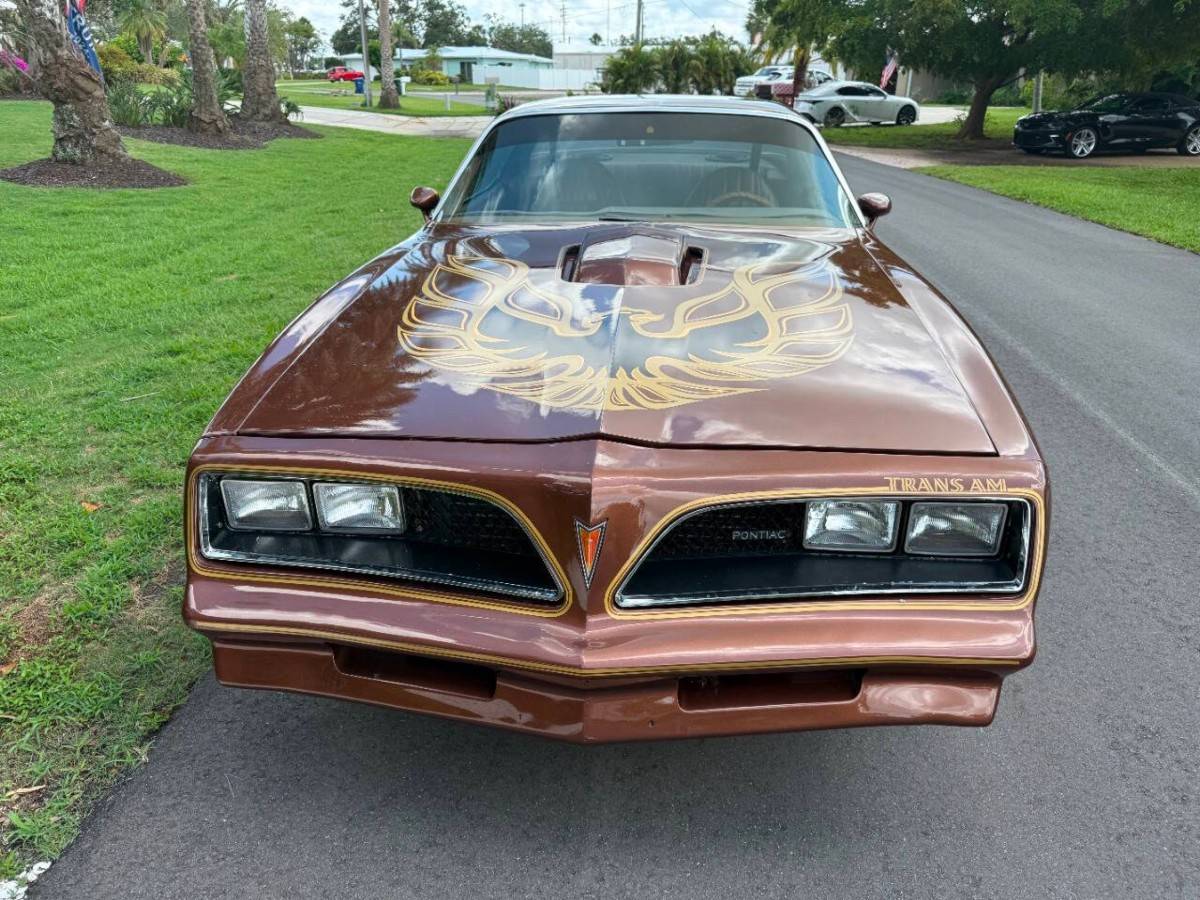 Pontiac-firebird-trans-am-1978-brown-9