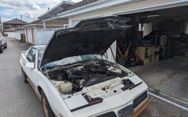 Pontiac-firebird-trans-am-1984-white-1