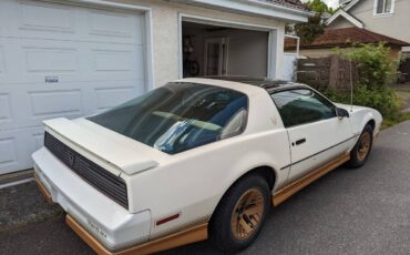 Pontiac-firebird-trans-am-1984-white