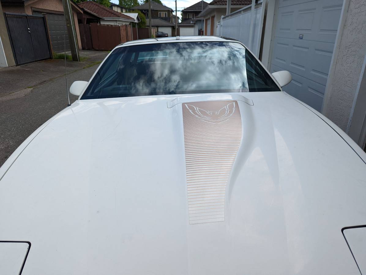 Pontiac-firebird-trans-am-1984-white-6