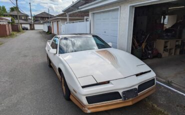 Pontiac-firebird-trans-am-1984-white-8