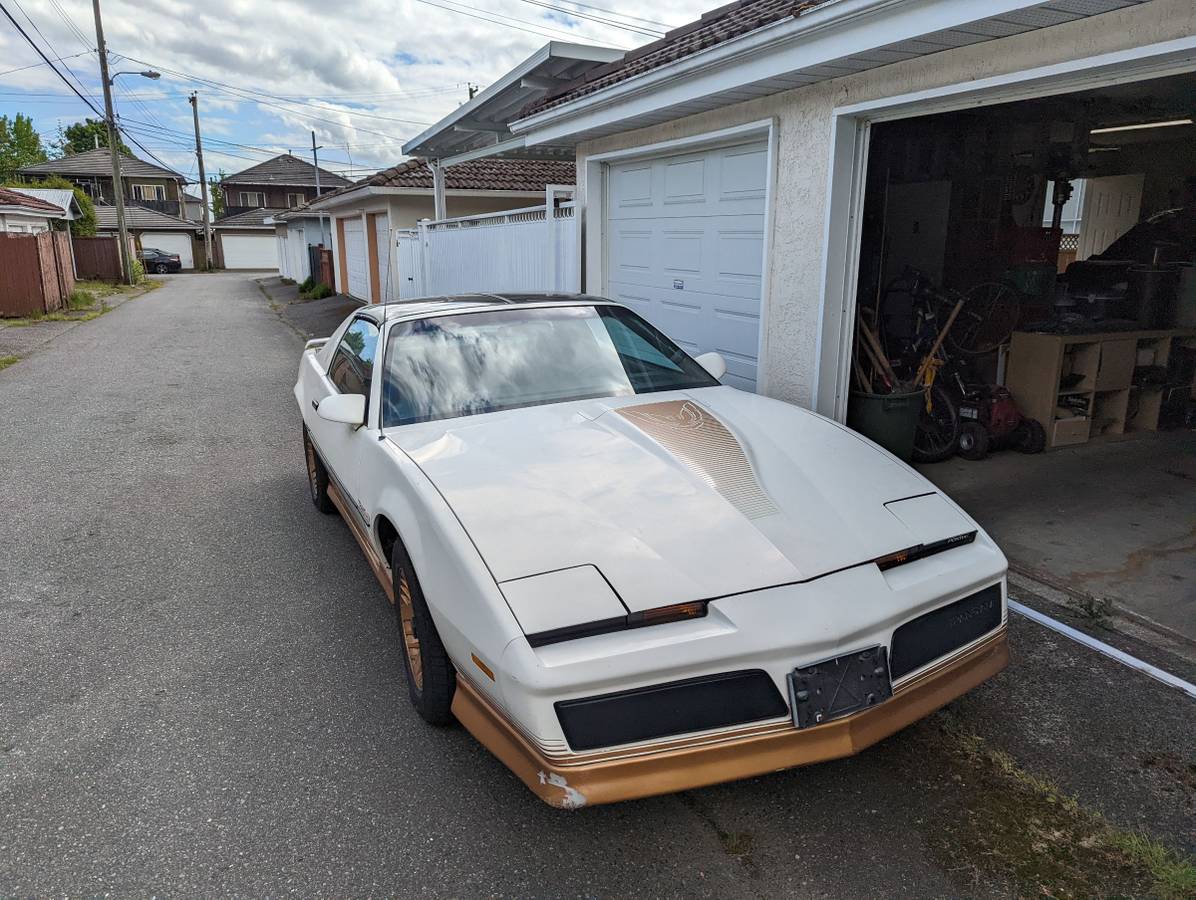Pontiac-firebird-trans-am-1984-white-8