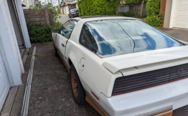 Pontiac-firebird-trans-am-1984-white-9