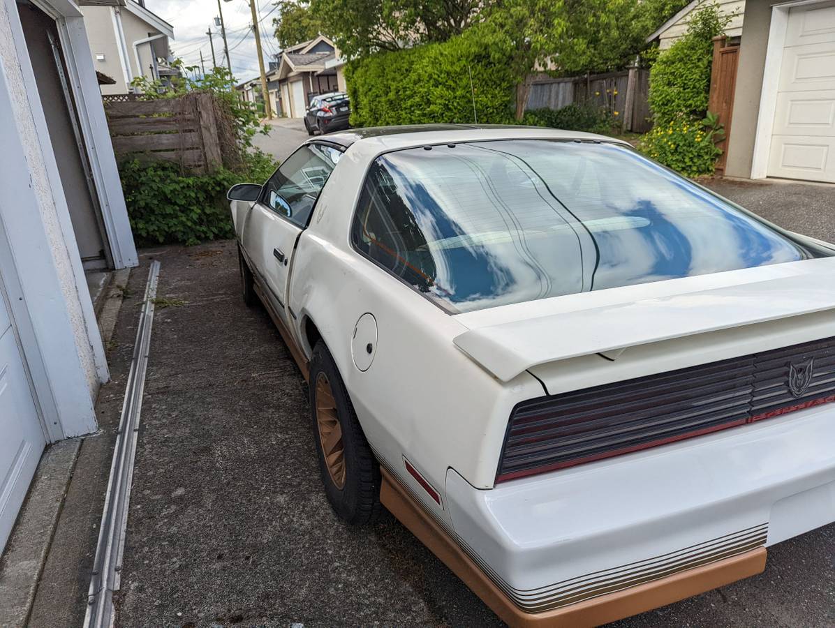 Pontiac-firebird-trans-am-1984-white-9