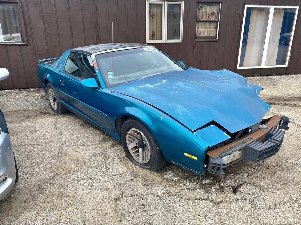 Pontiac-firebird-trans-am-hatchback-2d-1992-blue-5