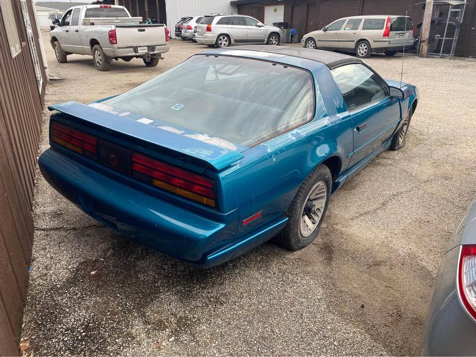 Pontiac-firebird-trans-am-hatchback-2d-1992-blue-7
