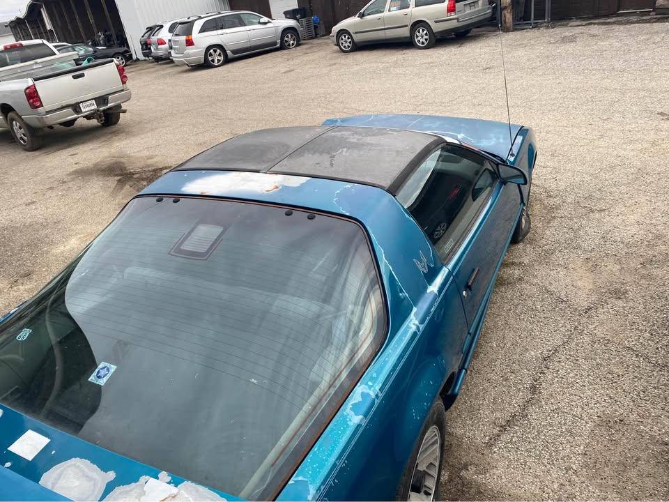 Pontiac-firebird-trans-am-hatchback-2d-1992-blue-8
