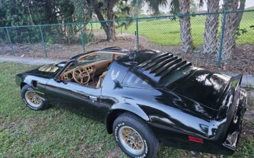 Pontiac-firebird-trans-am-ws6-1979-1