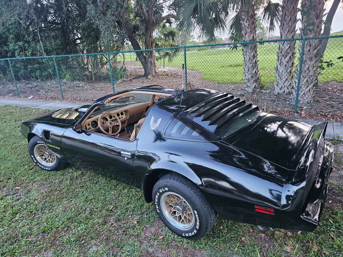 Pontiac-firebird-trans-am-ws6-1979-1