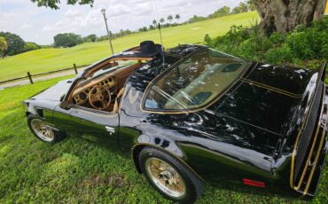 Pontiac-firebird-trans-am-ws6-1979-1