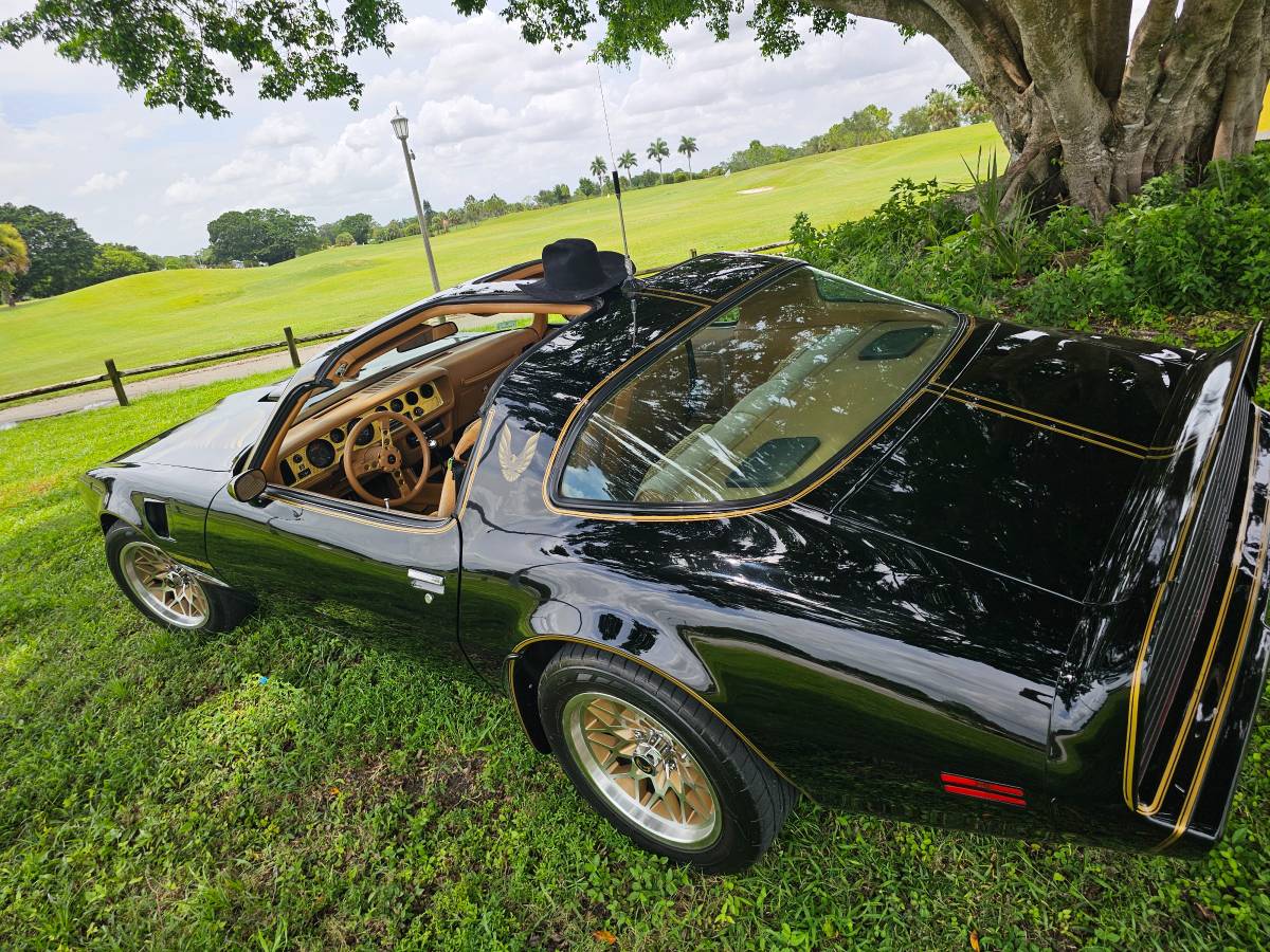 Pontiac-firebird-trans-am-ws6-1979-1