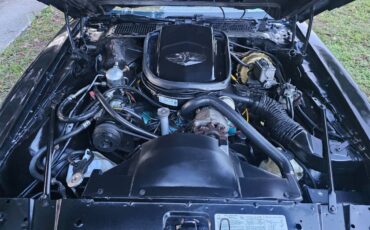 Pontiac-firebird-trans-am-ws6-1979-10