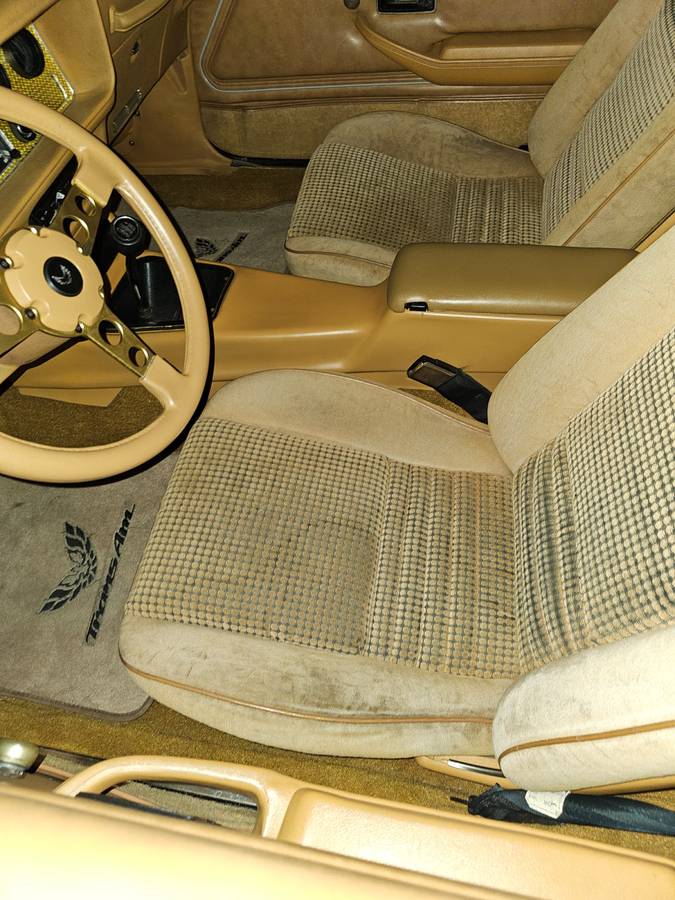 Pontiac-firebird-trans-am-ws6-1979-10