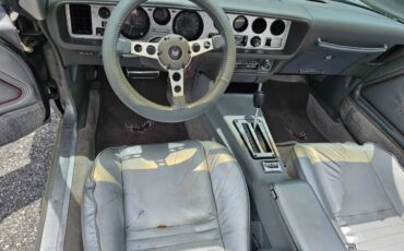 Pontiac-firebird-trans-am-ws6-1979-11