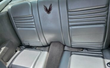 Pontiac-firebird-trans-am-ws6-1979-12