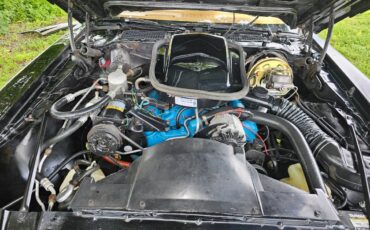 Pontiac-firebird-trans-am-ws6-1979-12