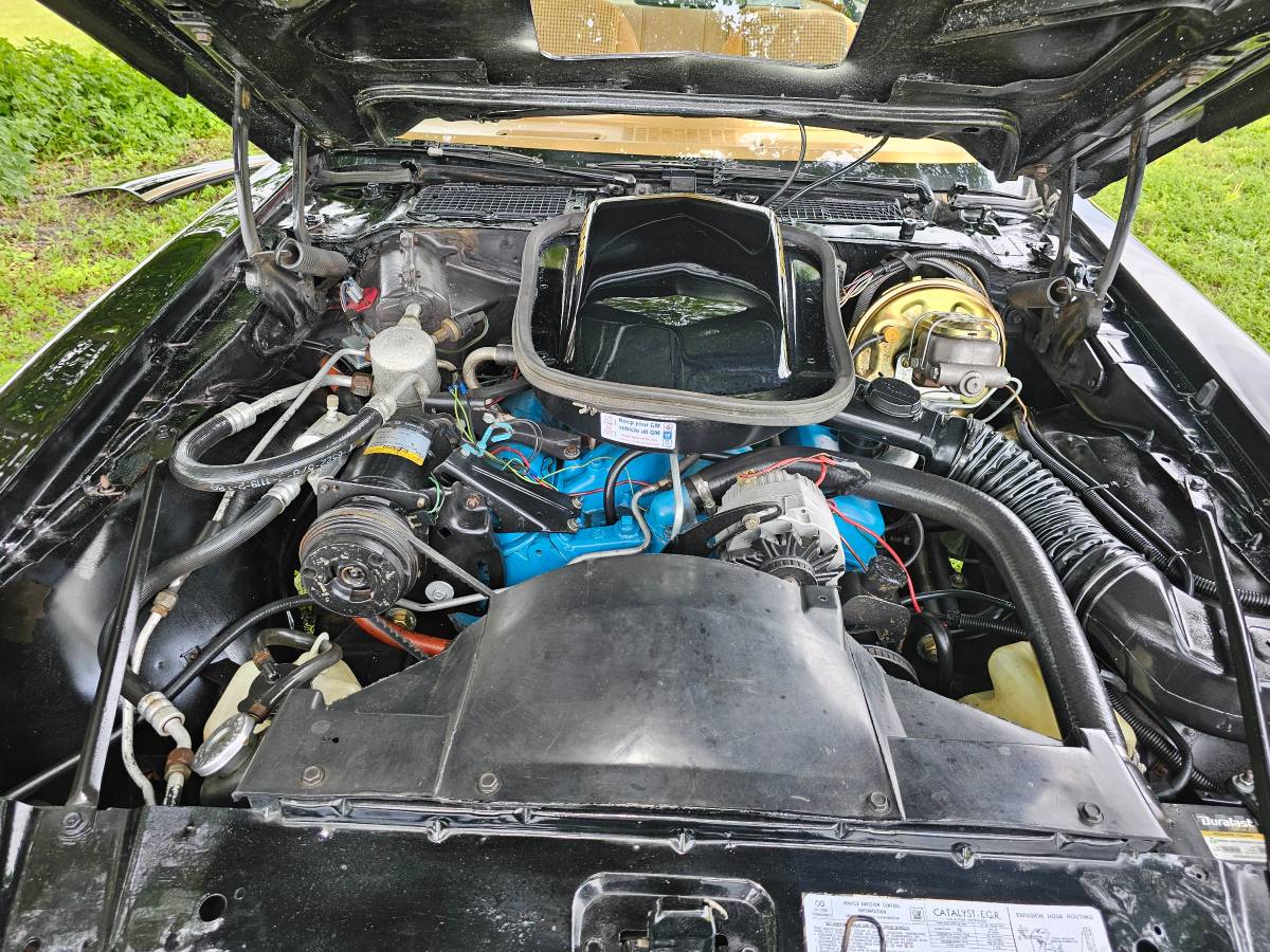 Pontiac-firebird-trans-am-ws6-1979-12