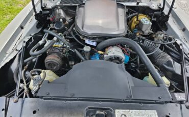 Pontiac-firebird-trans-am-ws6-1979-2
