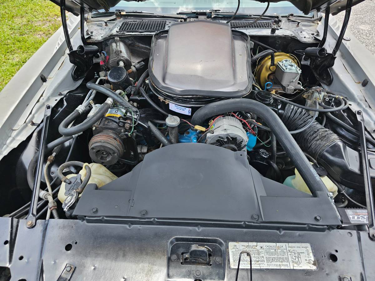 Pontiac-firebird-trans-am-ws6-1979-2